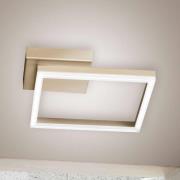 LED-Deckenleuchte Bard, 27x27cm, Mattgold-Finish