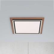 Paul Neuhaus Palma LED-Deckenlampe CCT Quadrat