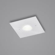 Helestra Nomi LED-Deckenleuchte 23x23cm dim weiß