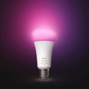 Philips Hue White+Color E27 15W LED-Lampe