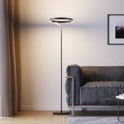 Molto Luce LED-Stehlampe Melli F, schwarz, Alu, Höhe 168 cm