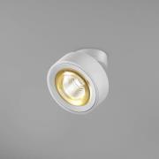 Egger LED-Spot Clippo Optic, weiß/gold, Ø 12 cm, DTW