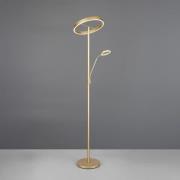 LED-Stehlampe Willis, gold, Höhe 180 cm, Metall, CCT, Dimmer