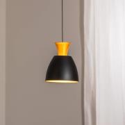 BEGA LED-Pendel Studio Line 51229, schwarz/messing, Ø 20 cm