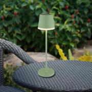 LED-Solarleuchte Metall, hellgrün, Höhe 41 cm, IP44