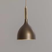 Hängeleuchte Noak, einflammig, titan-gold/gold, Stahl