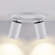 Deckenspot CAN TILT, weiß, Ø 20 cm, 2-flammig, Metall, GU10