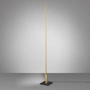 Quitani Talon LED-Stehleuchte eloxal messing matt