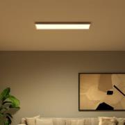 Philips Hue LED-Panel White & Color Ambiance Surimu 120x30cm