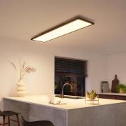 Philips Hue Panel White Ambiance Aurelle 120 x 30 cm schwarz