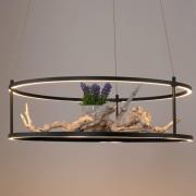 Paul Neuhaus LED-Pendellampe Contura, schwarz, Ø 50 cm