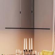 Quitani LED-Pendelleuchte Tolu, schwarz, Länge 158 cm