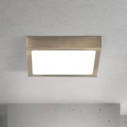 LED-Deckenlampe Disc, messingfarben antik, Länge 14 cm, CCT