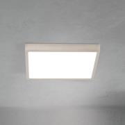 LED-Deckenlampe Disc, nickelfarben satiniert Länge 24 cm CCT