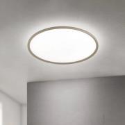 LED-Deckenlampe Kant, Ø 80 cm, khaki, CCT, Metall/Kunststoff