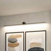 Paulmann LED-Wandleuchte Sava, schwarz, 230 cm, IP44