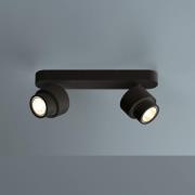 LED-Spot BRUSH, schwarz, 30 cm, 2-flg., Metall, dim, 2.700 K