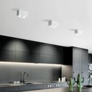 Deckenleuchte Elide 2-flammig