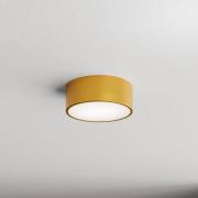 Deckenleuchte Cleo, Ø 20 cm, IP20, goldfarben, Metall, E27
