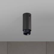 Buster+Punch Exhaust Surface Cross grafit/schwarz