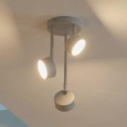 Deckenstrahler Nemo, 3-fl., grau-beige, beweglich, GX53