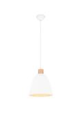 Pendelleuchte JAGGER 1xE27 ohne Leuchtmittel von REALITY Leuchten R306...