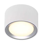 Nordlux - Fallon Spotlight White/Brushed Steel