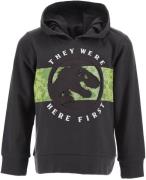 Jurassic World Kapuzenpullover, Dark Grey, 3 Jahre