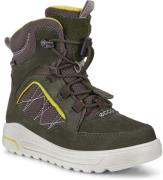 Ecco Urban Snowboarder Stiefel, Deep Forest/Canary 28