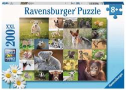 Ravensburger Puzzle Animal Babies 200 Teile