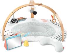 SkipHop Discoverosity Spielbogen, White/Grey, Babyspielzeug